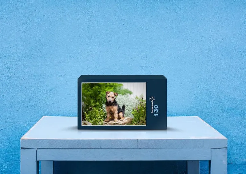 31418 Tierwelt - Terrier im Garten Puzzle