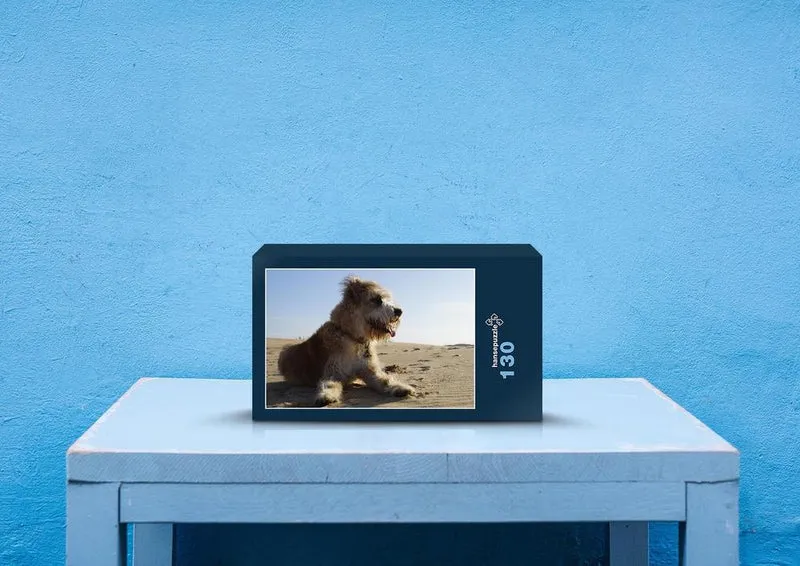 31389 Tierwelt - Terrier im Sand Puzzle