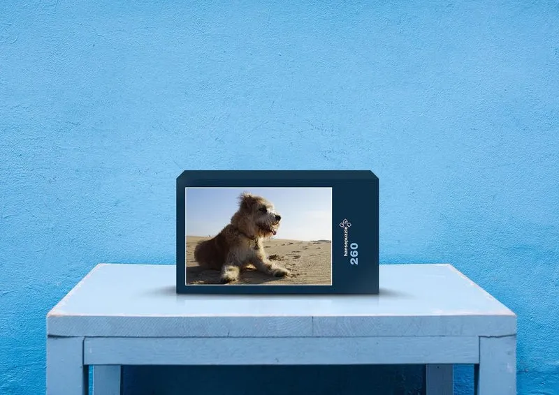 31389 Tierwelt - Terrier im Sand Puzzle