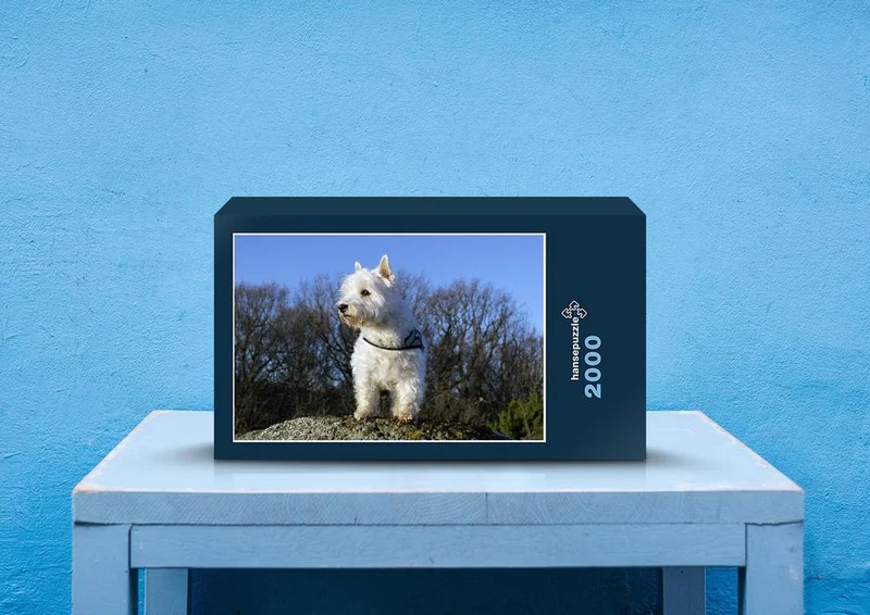 29688 Tierwelt - Terrier Puzzle