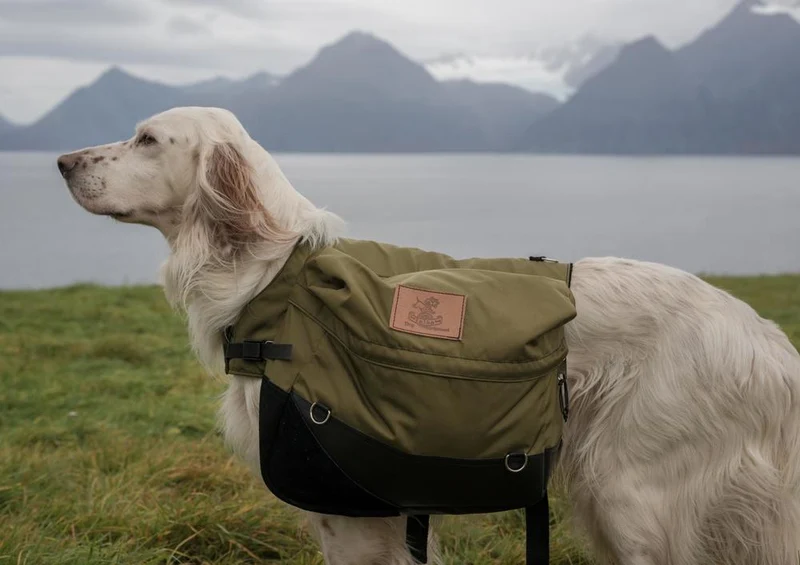 30859 Tierwelt - Hund auf Wanderung Puzzle