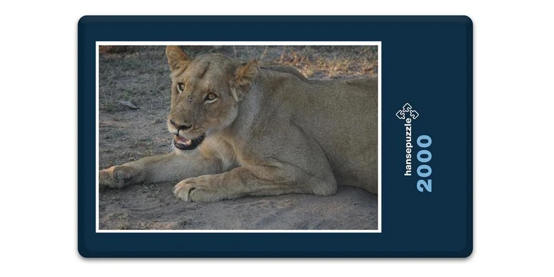 18766 Tierwelt - Löwe Puzzle