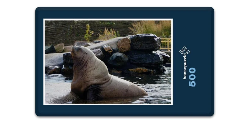 18761 Tierwelt - Seelöwe Puzzle