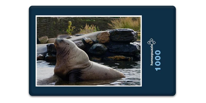 18761 Tierwelt - Seelöwe Puzzle