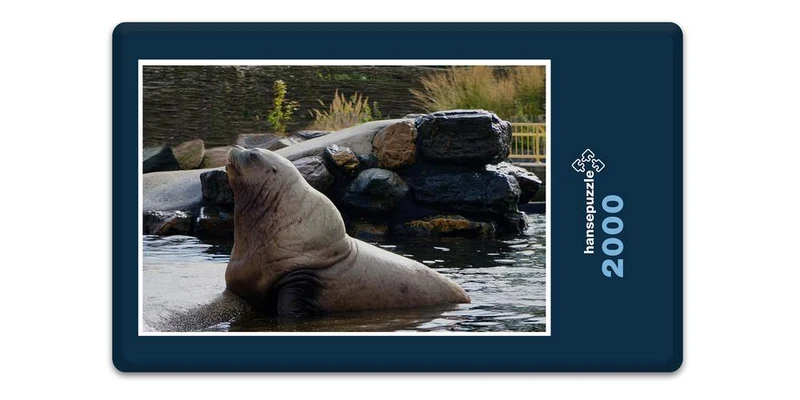 18761 Tierwelt - Seelöwe Puzzle
