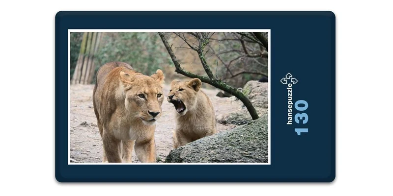 18756 Tierwelt - Wild-Katzen Puzzle