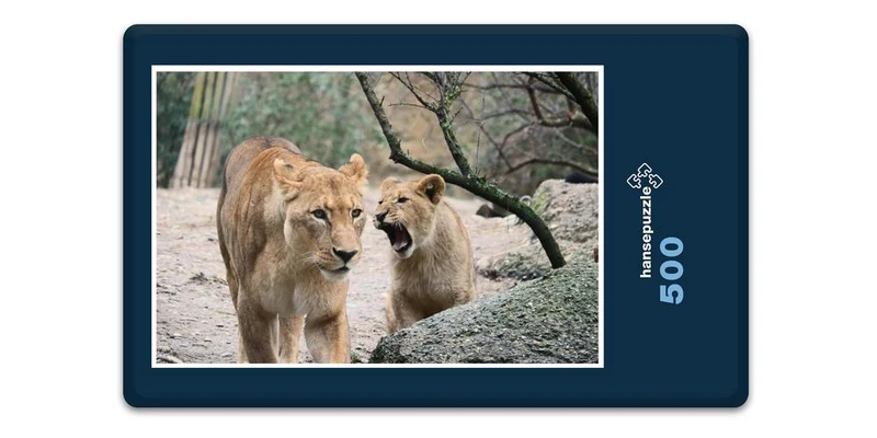 18756 Tierwelt - Wild-Katzen Puzzle