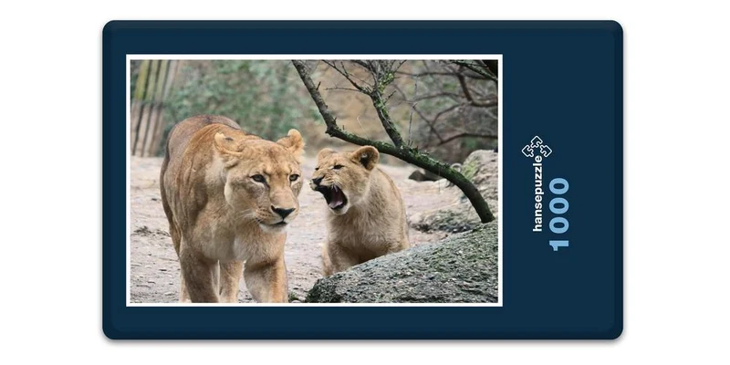 18756 Tierwelt - Wild-Katzen Puzzle