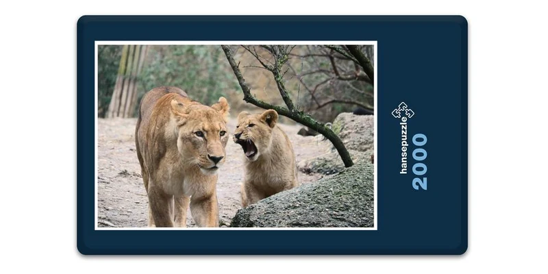 18756 Tierwelt - Wild-Katzen Puzzle