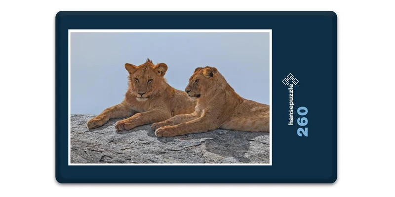 18751 Tierwelt - Zwei Löwen Puzzle