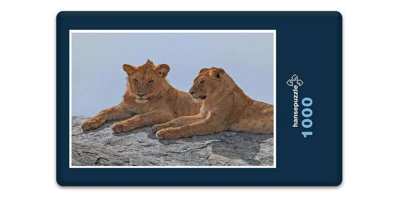 18751 Tierwelt - Zwei Löwen Puzzle