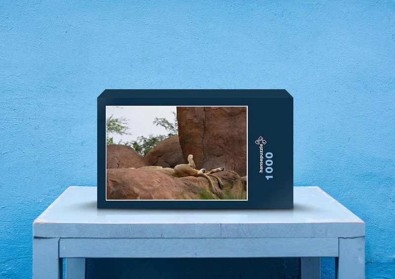 29974 Tierwelt - Löwe auf Felsen Puzzle