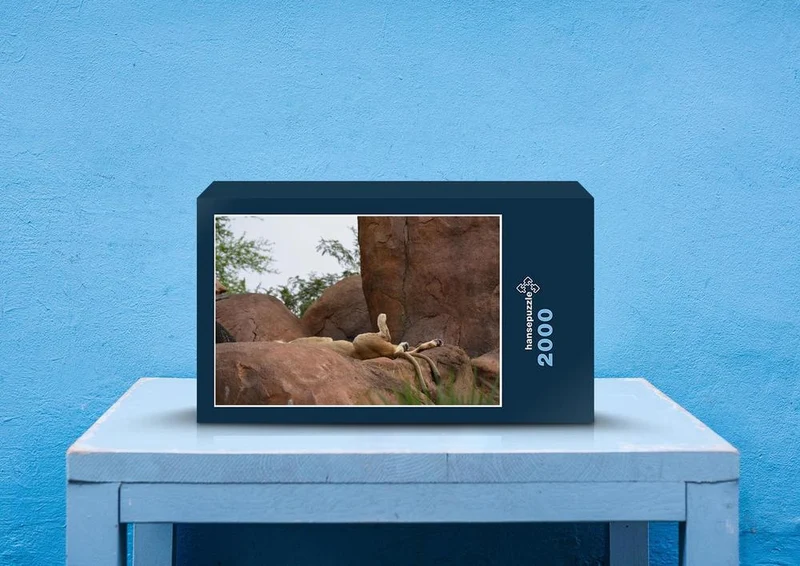 29974 Tierwelt - Löwe auf Felsen Puzzle