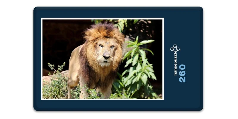 16884 Tierwelt - König der Tiere Puzzle