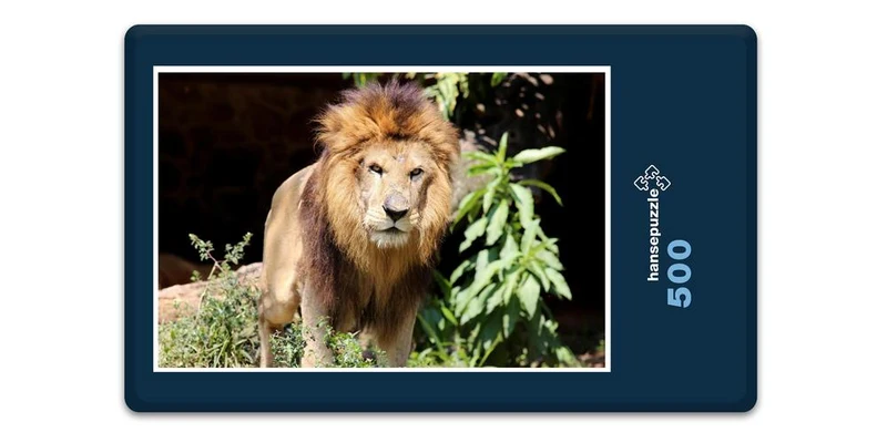 16884 Tierwelt - König der Tiere Puzzle
