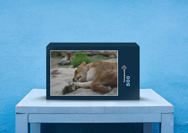 29906 Tierwelt - Löwe im Sand Puzzle