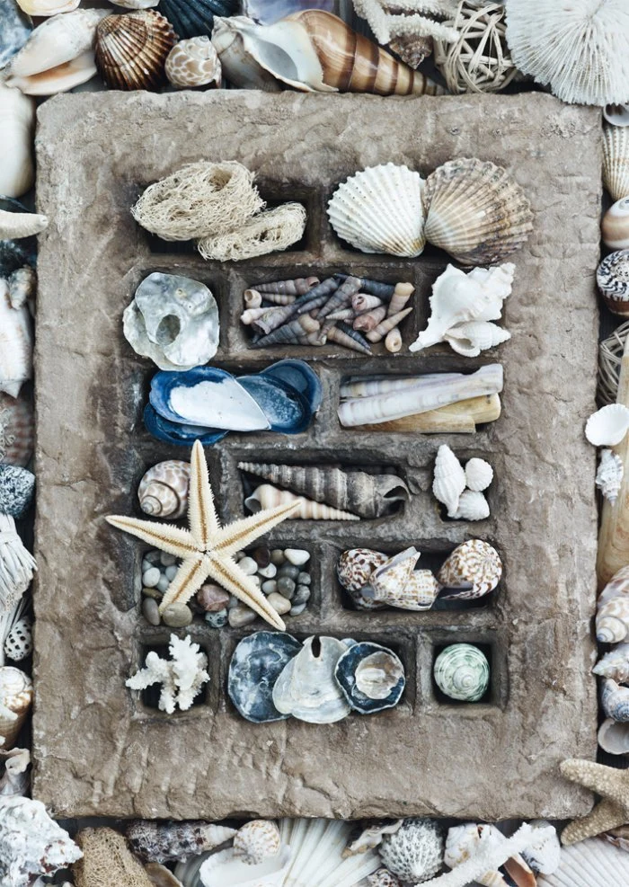 Treasures of the Sea