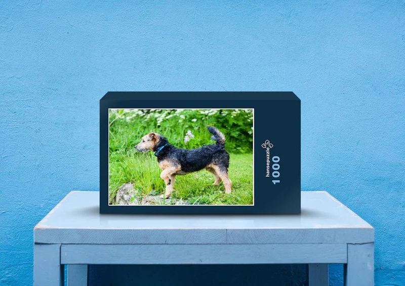 41260 Tierwelt - Terrier Puzzle