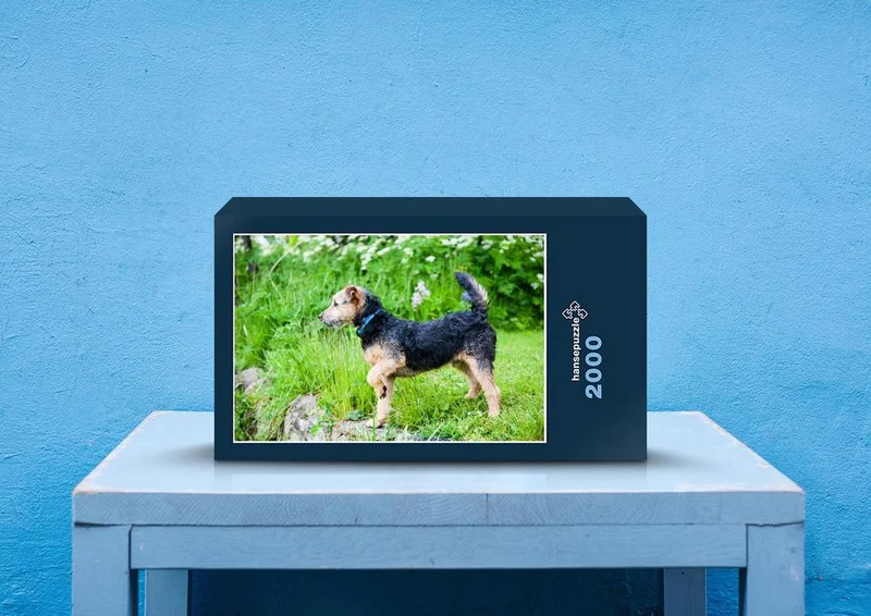 41260 Tierwelt - Terrier Puzzle