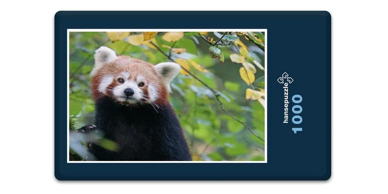 18866 Tierwelt - Roter Panda Puzzle