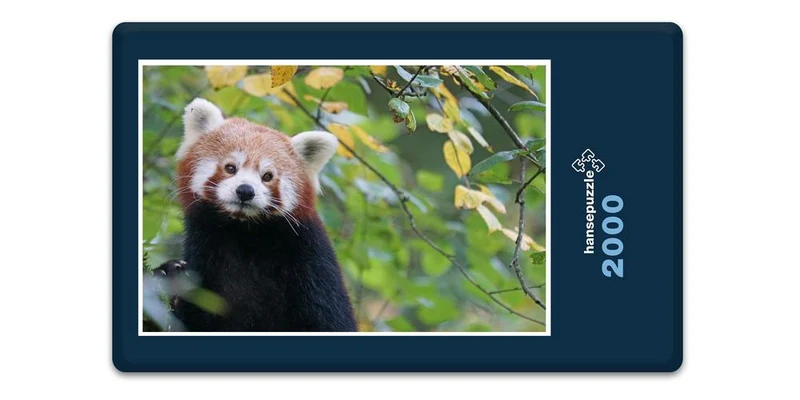 18866 Tierwelt - Roter Panda Puzzle