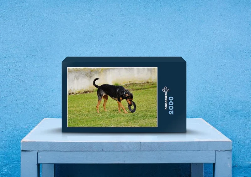 30850 Tierwelt - Hund auf Wiese Puzzle
