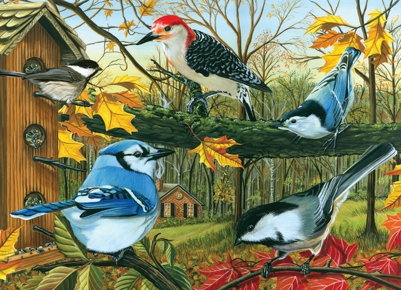 Blue Jay and Friends