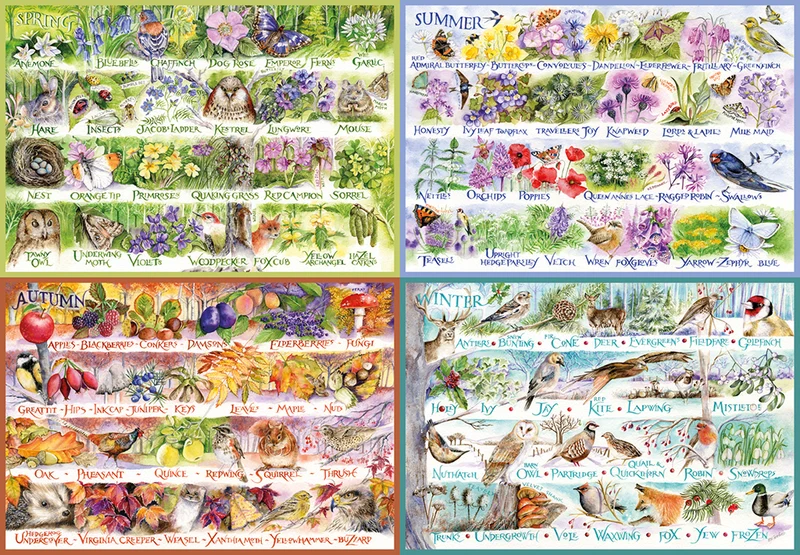 Woodland Seasons, Val Goldfinch