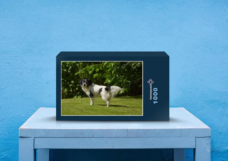 41247 Tierwelt - Happy Dog Puzzle
