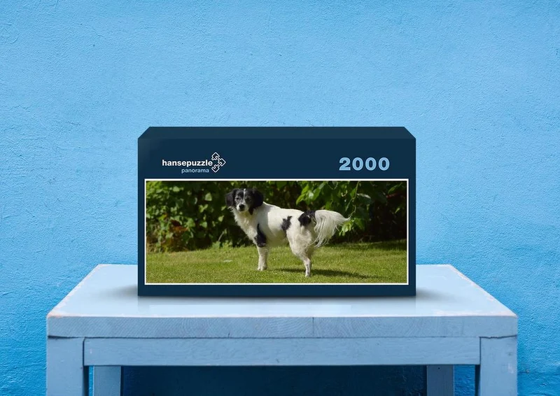 41247 Tierwelt - Happy Dog Puzzle
