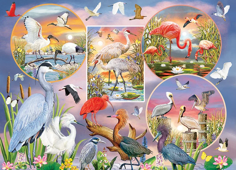 Waterbird Magic, Rosiland Solomon
