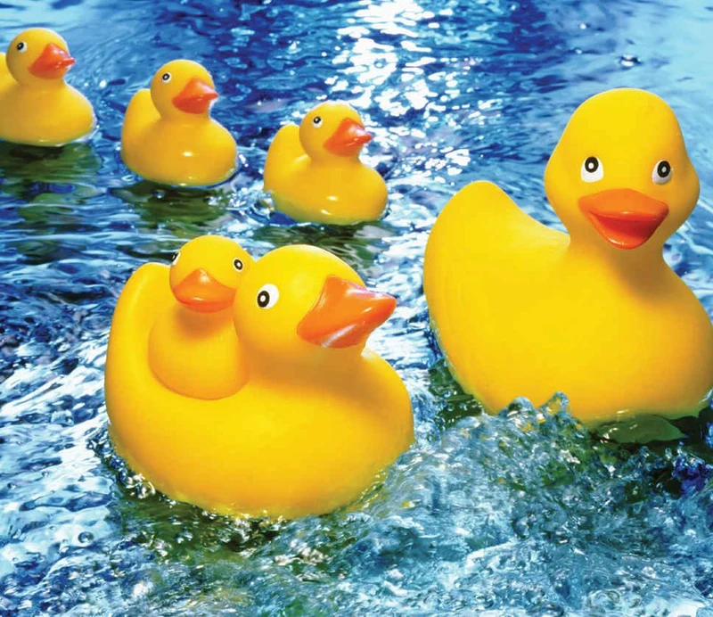 Rubber Duckies