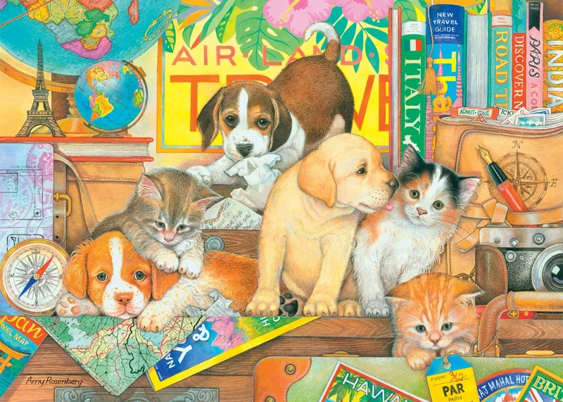 Pets on Tour, Amy Rosenburg