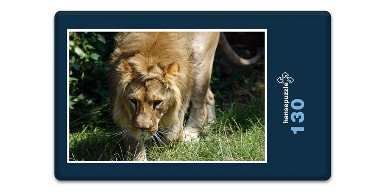 16879 Tierwelt - Löwe auf Jagd Puzzle