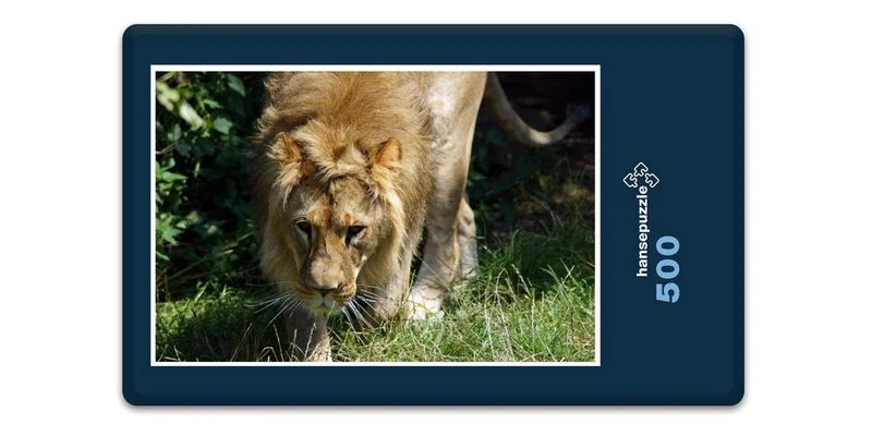16879 Tierwelt - Löwe auf Jagd Puzzle