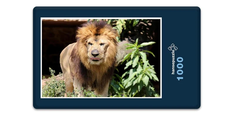 16874 Tierwelt - Löwe Puzzle