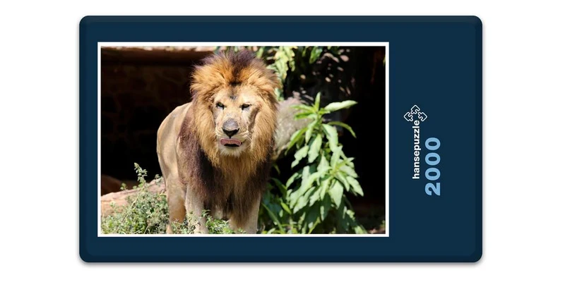 16874 Tierwelt - Löwe Puzzle