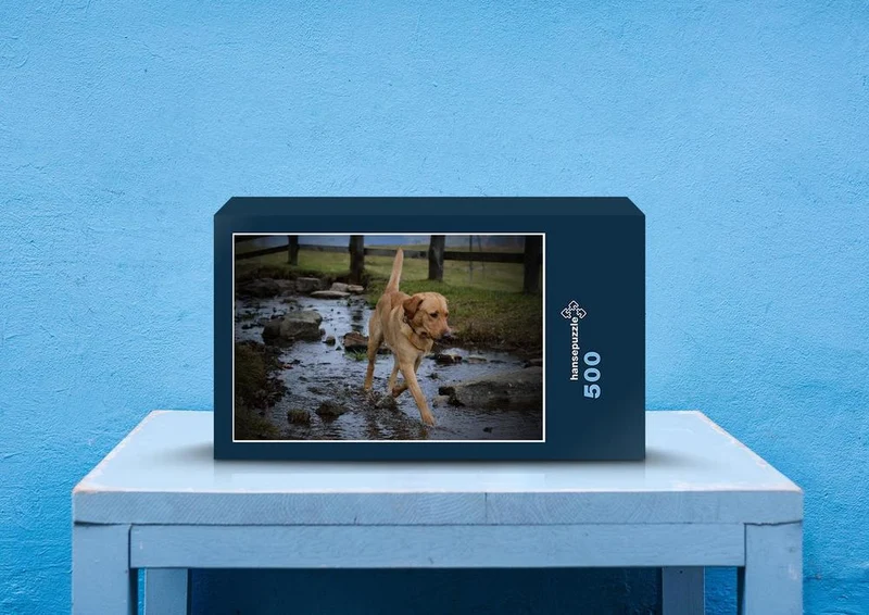 34420 Tierwelt - Labrador Puzzle