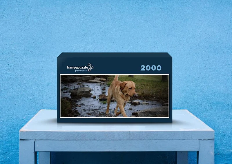 34420 Tierwelt - Labrador Puzzle
