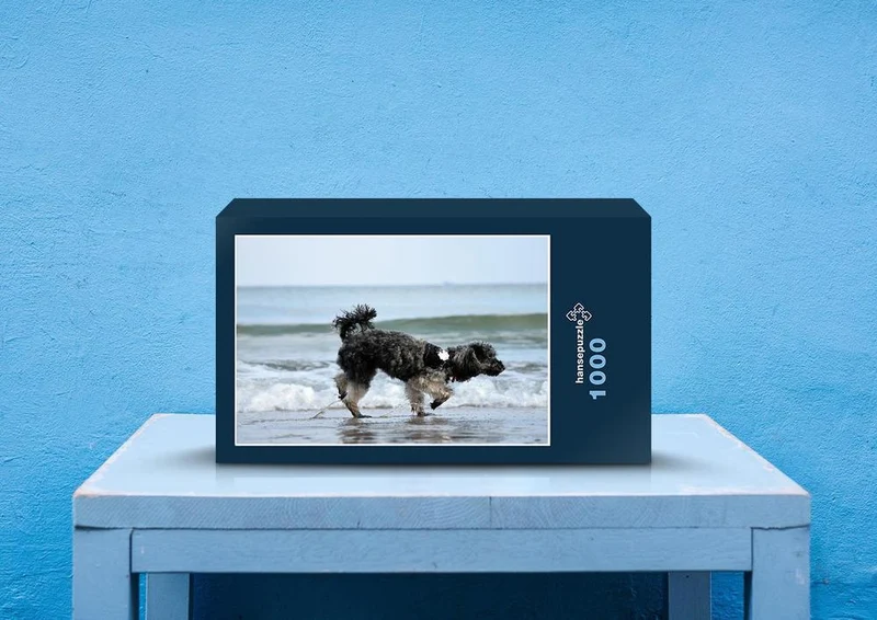 41240 Tierwelt - Strand-Läufer Puzzle