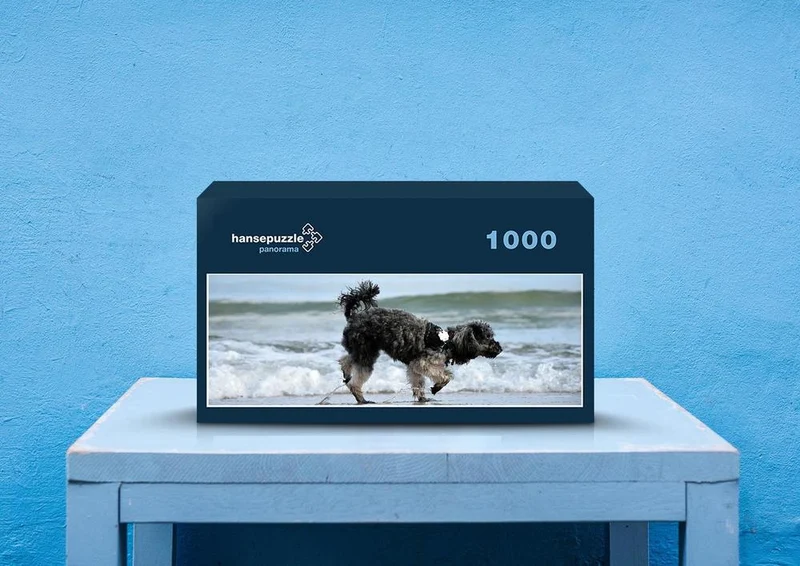 41240 Tierwelt - Strand-Läufer Puzzle