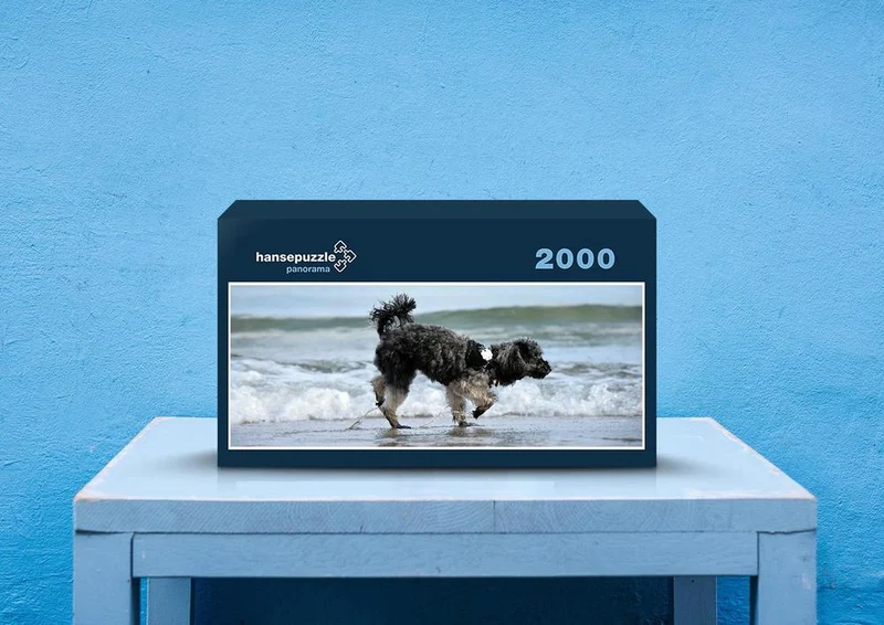 41240 Tierwelt - Strand-Läufer Puzzle