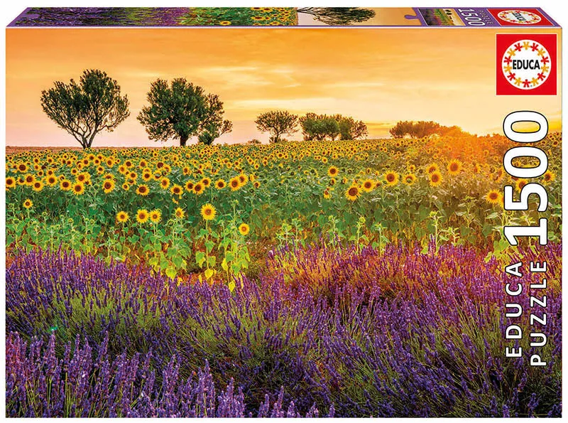 Field of Sunflowers and Lavenders, Susanne Kremer