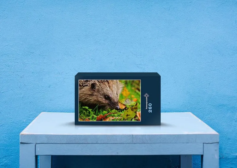 29798 Tierwelt - Igel im Laub Puzzle