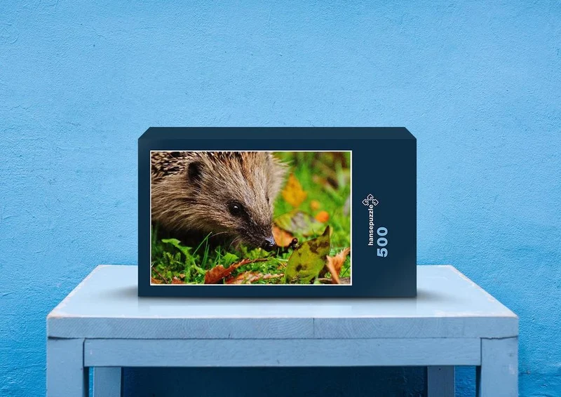 29798 Tierwelt - Igel im Laub Puzzle