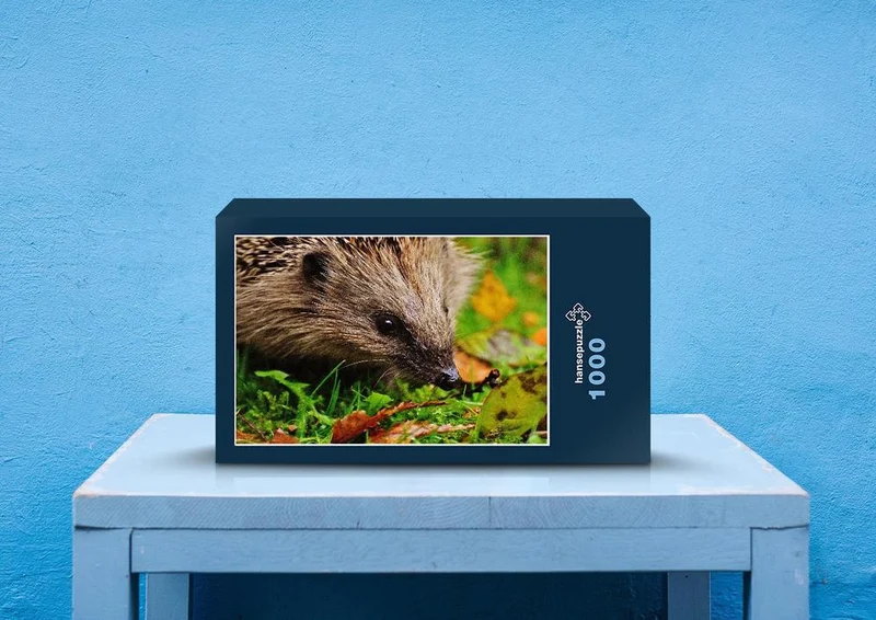 29798 Tierwelt - Igel im Laub Puzzle