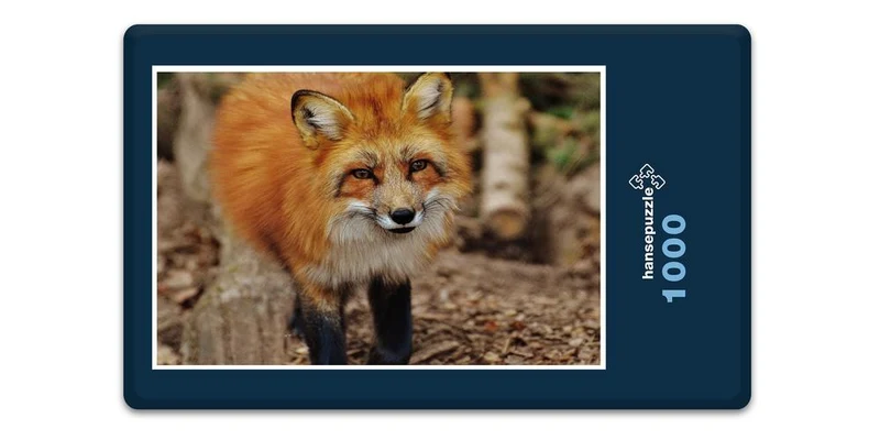 16864 Tierwelt - Fuchs Puzzle