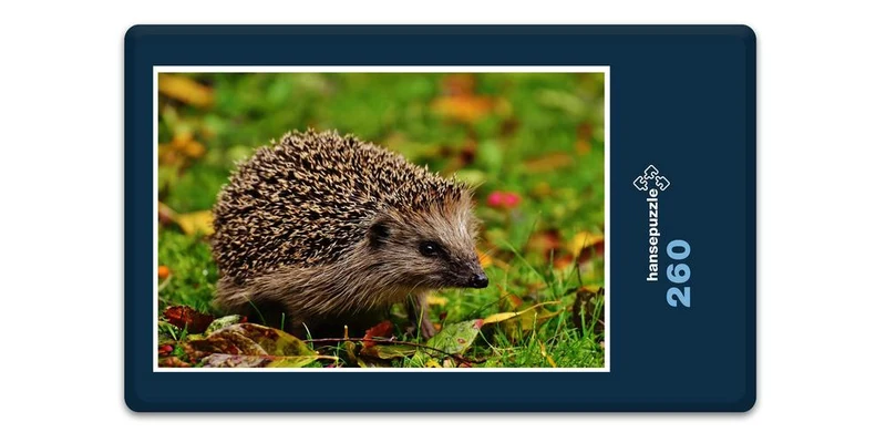 16859 Tierwelt - Igel im Laub Puzzle