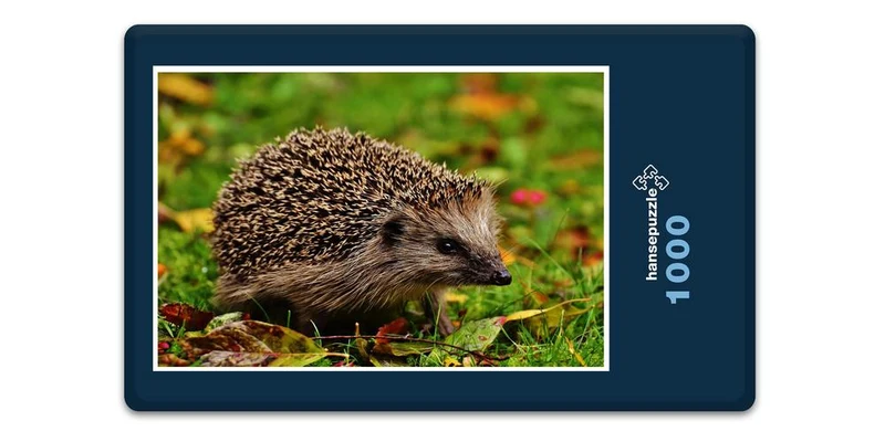 16859 Tierwelt - Igel im Laub Puzzle