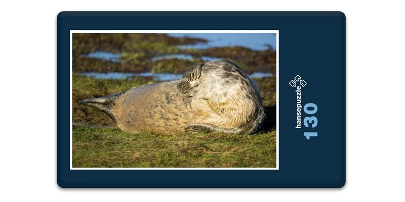 16854 Tierwelt - Flosse vor Augen Puzzle